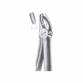 Extarcting Forceps 